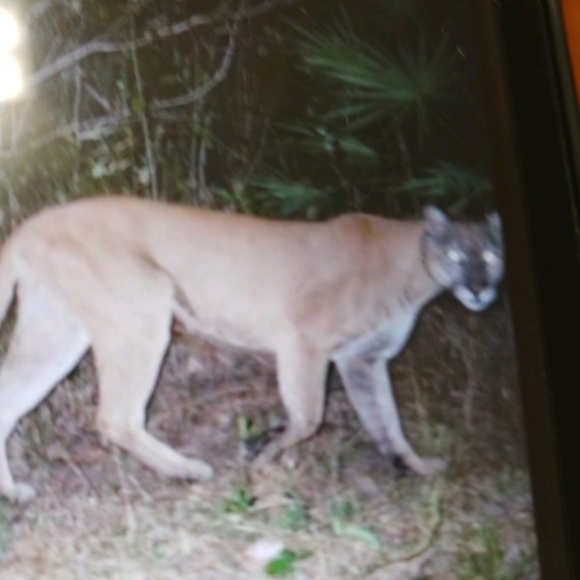 Meet your Posher, Julie - Picture 1 of 1